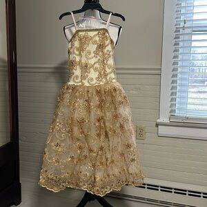 Curtain Call costume size child's extra large